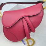 Dior saddle palm print collection