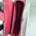 Dior saddle palm print collection