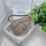Dior saddle palm print collection