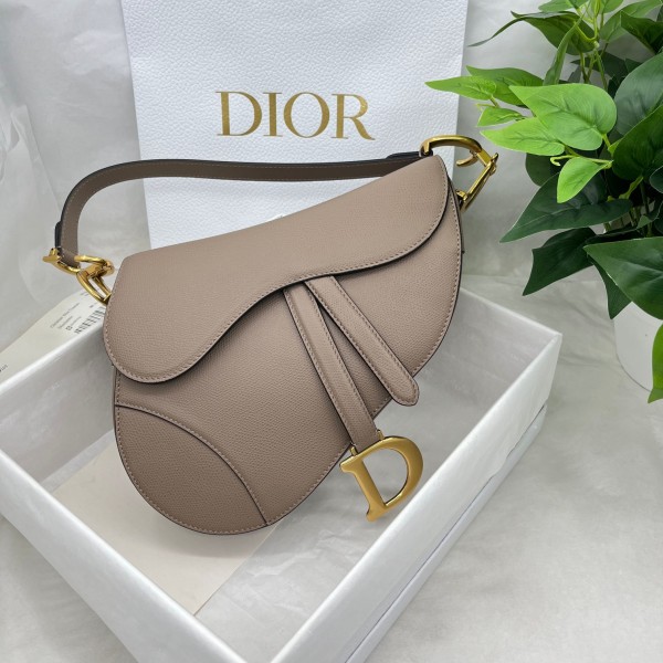 Dior saddle palm print collection