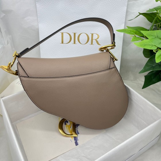 Dior saddle palm print collection