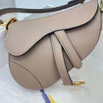 Dior saddle palm print collection