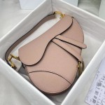 Dior saddle palm print collection