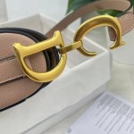 Dior saddle palm print collection