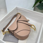 Dior saddle palm print collection