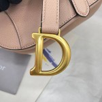 Dior saddle palm print collection