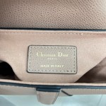 Dior saddle palm print collection