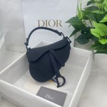 Dior saddle scrub series