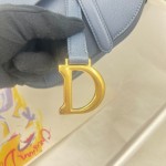 Dior saddle ball print collection