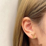 Louis Vuitton Earrings
