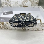 Dior new cell phone bag