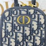 Dior new cell phone bag