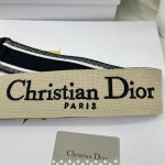 Dior Frosted Black Shoulder Strap