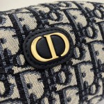 DIOR Blue Letter Canvas Wash Bag
