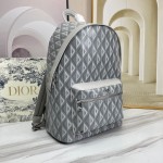 Dior- backpack, model: A088# gray grid