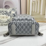 Dior- backpack, model: A088# gray grid