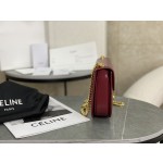 CELINE Leather Chain Saddle Bag~Model: 110973