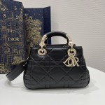 DIOR LADY latest 95-22 series