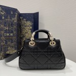 DIOR LADY latest 95-22 series