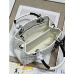 LADY DIOR 95.22 "Runway Model