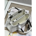 LADY DIOR 95.22 "Runway Model