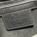 LADY DIOR 95.22 "Runway Model