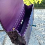 CHANEL model 24313mini cover bag