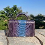 CHANEL model 24313mini cover bag