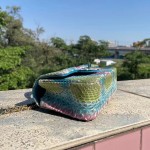 CHANEL model 24313mini cover bag