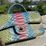 CHANEL model 24313mini cover bag