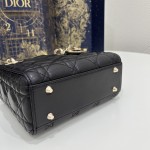 DIOR Princess Diana three grid series