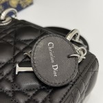 DIOR Princess Diana three grid series