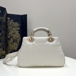 DIOR LADY latest 95-22 series