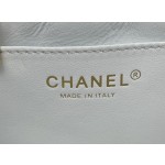 CHANEL Dice Bag Model AS3744