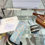 Dior slippers