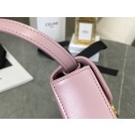 CELINE 𝗧𝗥𝗜𝗢𝗠𝗣𝗛⻼𝗠𝗜𝗡𝗜 Triumphal Arch Mini Crossbody Bag Model: 101513