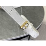 CELINE Leather Mini Saddle Bag Model: 10L063