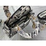 Dior Lady Embroidered Map of Paris Autumn/Winter Collection 6603