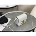 CELINE 𝗧𝗥𝗜𝗢𝗠𝗣𝗛⻼𝗠𝗜𝗡𝗜 Triumphal Arch Mini Crossbody Bag Model: 101513