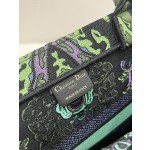 DIOR Lady embroidery latest spring and summer series