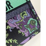 DIOR Lady embroidery latest spring and summer series