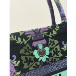 DIOR Lady embroidery latest spring and summer series