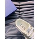 Dior Low Top B101 Casual Sports Shoe