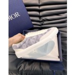 Dior Low Top B101 Casual Sports Shoe
