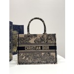 DIOR Tote latest spring and summer
