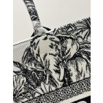 DIOR Tote latest spring and summer