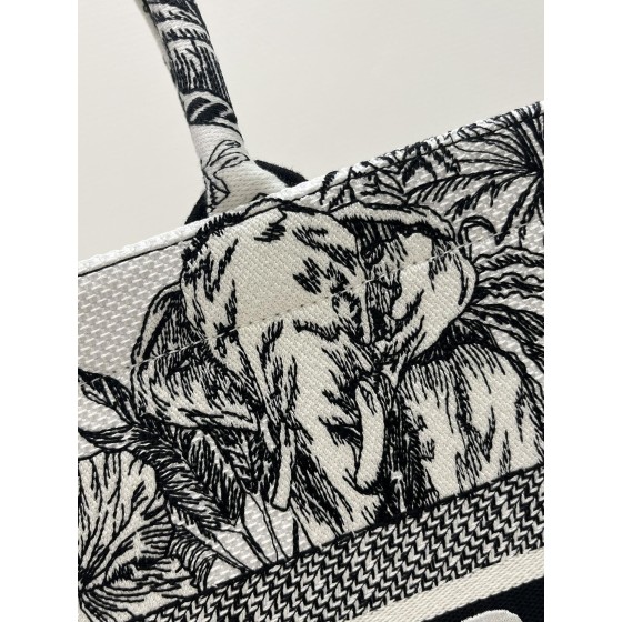 DIOR Tote latest spring and summer