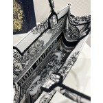 DIOR Tote latest spring and summer