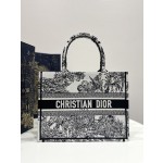 DIOR Tote latest spring and summer