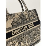DIOR Tote latest spring and summer
